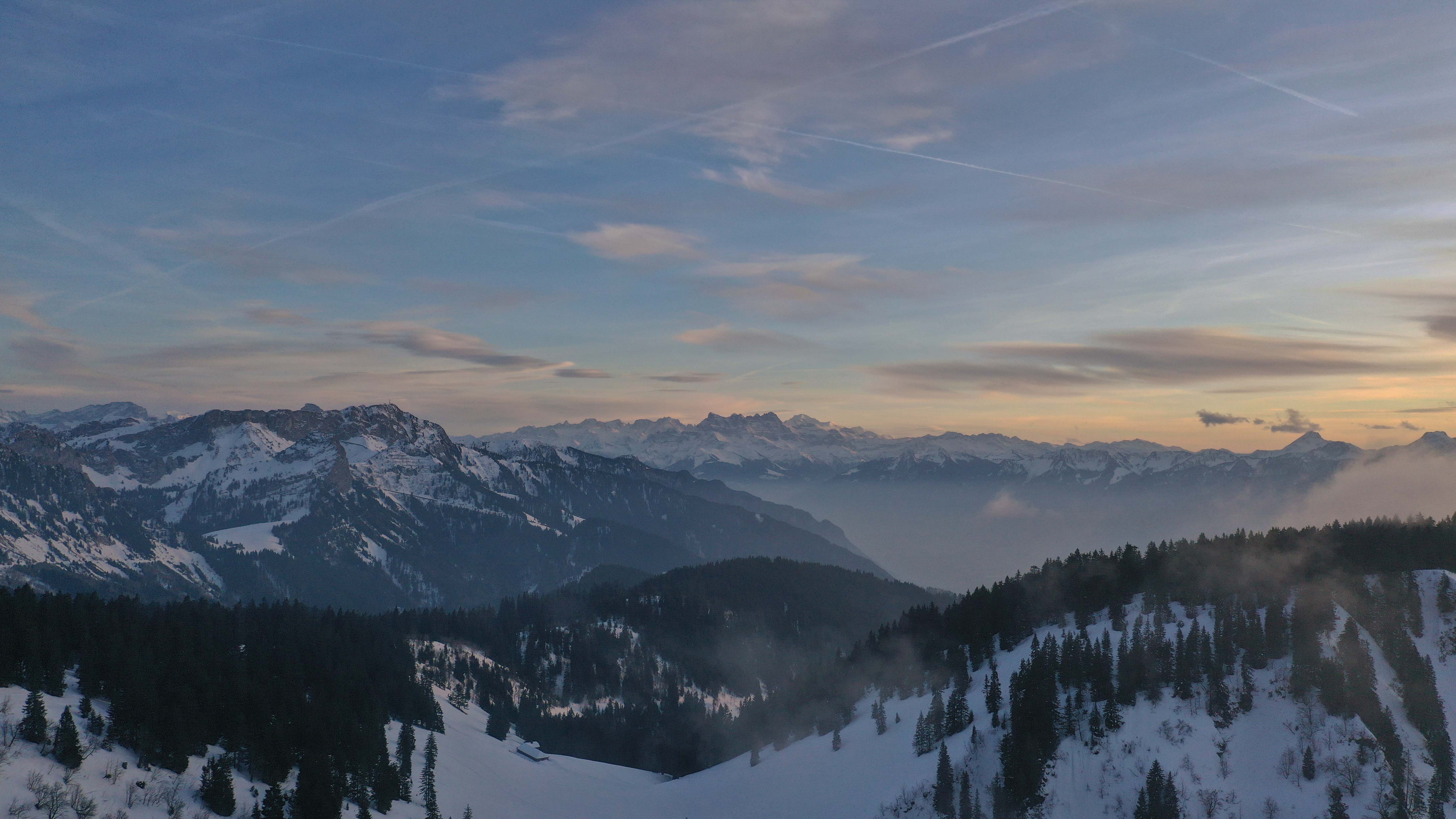 Snow-covered Alpine range at dusk, forests in the foreground