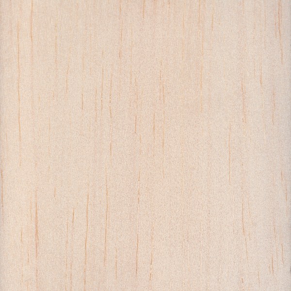 Wood grain of a Peak2002 ski core
