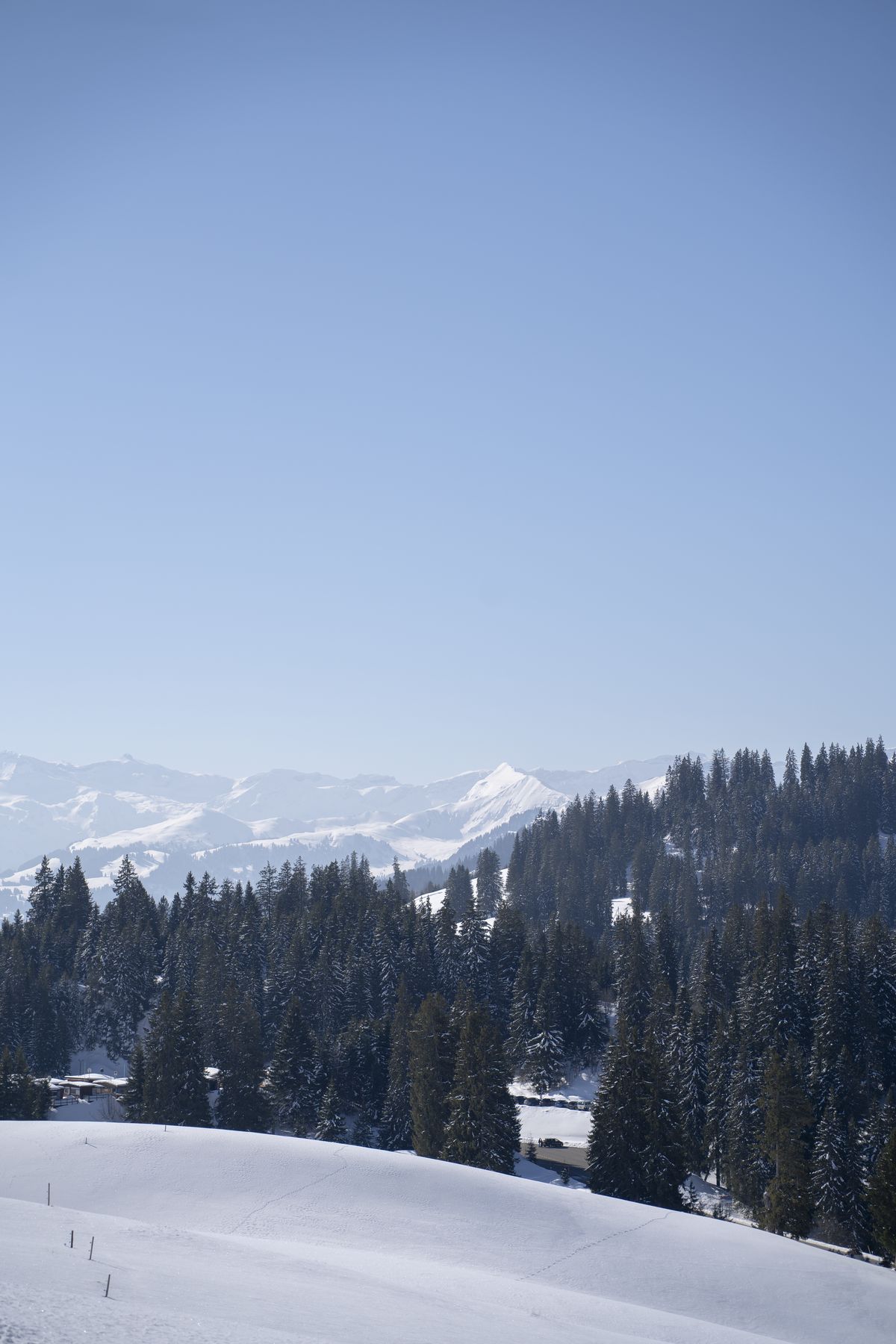Snowy pines and distant peaks from Jaun Pass