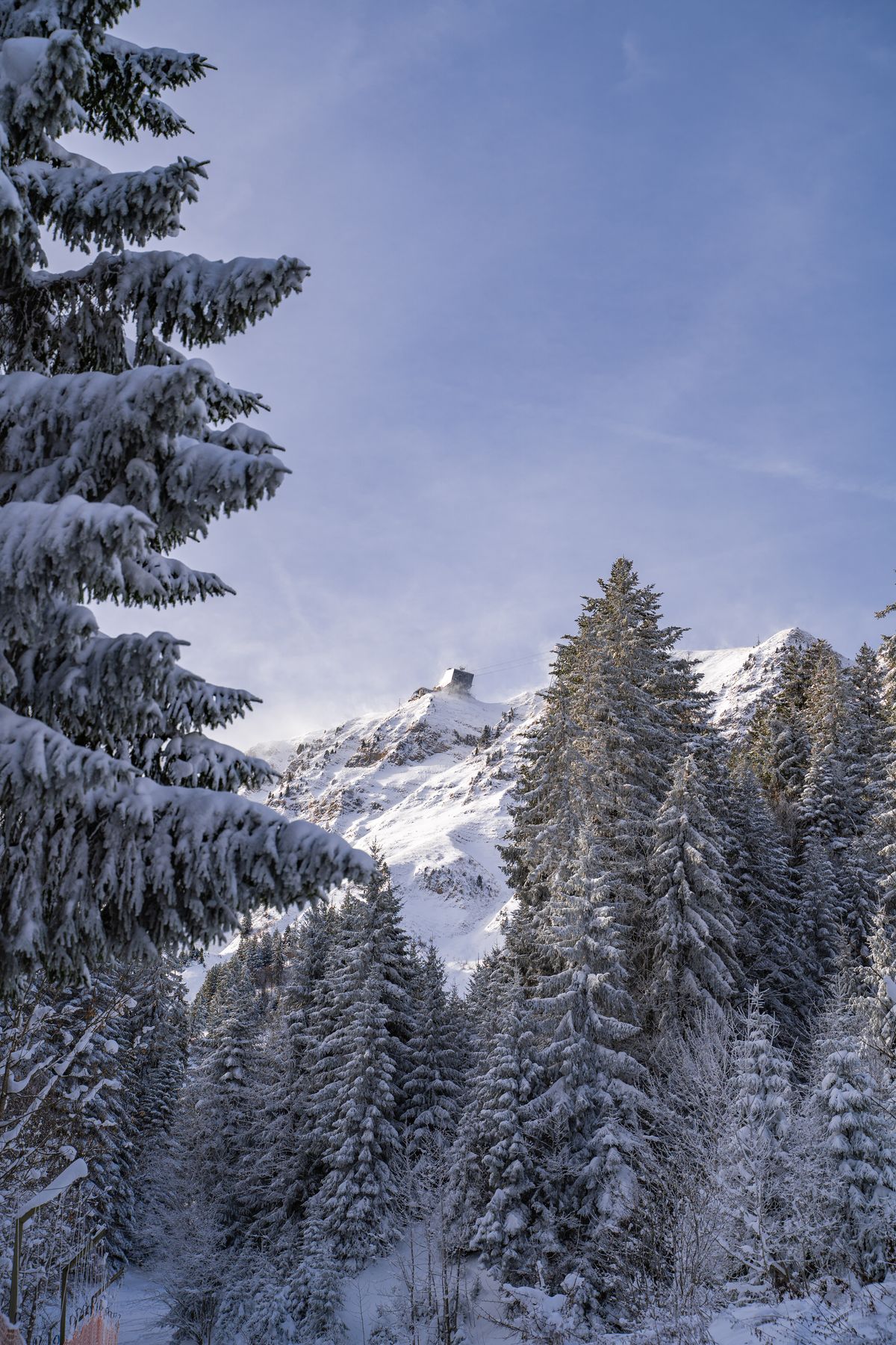 Snowy forest with Le Moléson summit station on the ridge